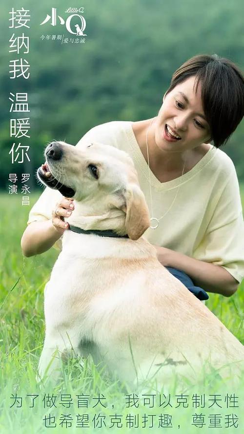 制作伯林顿学院文凭毕业证